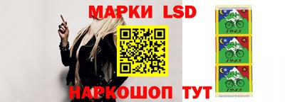 спиды Можга