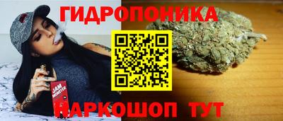 прущие грибы Моздок