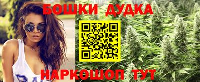 прущие грибы Моздок